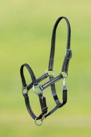 Licol poulain cuir souple - hfi - doubl et surpiqu - NOIR - FOAL Expdition Rapide