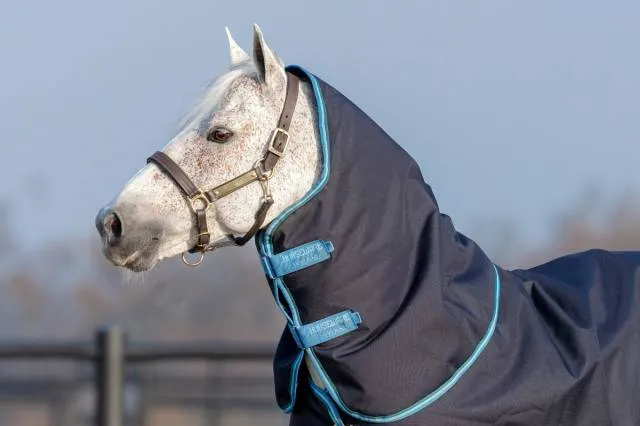 Couvre-cou Amigo 1200D Hood 150g - Horseware - Rsistant et isolant - MARINE/BLEU ROYAL - XXS Affaire Saisir