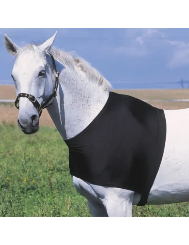 Protection d'paules - EQUITHEME - noir - XL Vente Directe