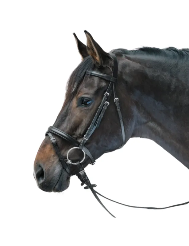 Bridon Lifestyle – STAR – noir – mini-shetland Offre Exclusive