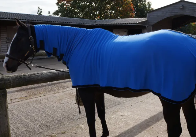 Meilleur Choix Chemise Herbb Elite avec cou - Herbb - Coton bio premium - 115 cm - Bleu - Ecurie - Box