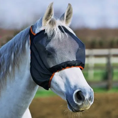 Bonnet midi sans oreilles - Equilibrium - S Jusqu puisement Des Stocks