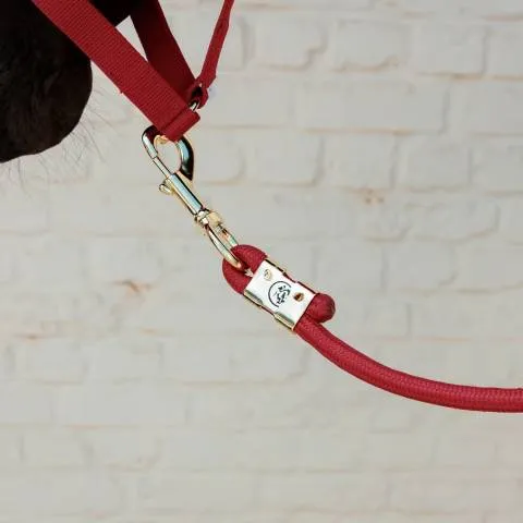 Prix Bas Longe Basic - Kentucky - Nylon tress - Rouge