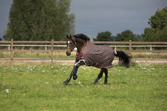 Couverture Amigo Bravo 12T - Horseware - 1200d impermable - MARINE - 6'3 / 140 CM Prix Cass
