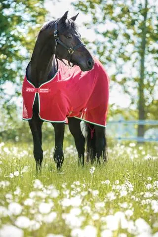 Livraison Gratuite Chemise schante Amigo net cooler - Horseware - polyester - MARINE - 5'6 / 115 CM