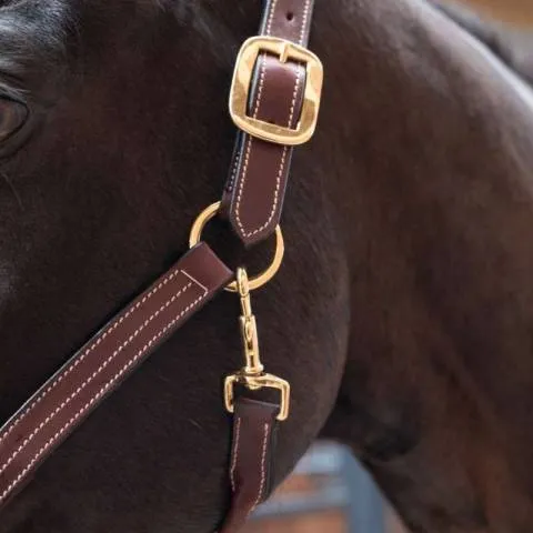 Licol cuir - Petitpas - Marron - Cheval Solde