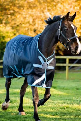 Couverture extrieure Amigo Bravo 12 Turnout - Horseware - 100g - MARINE/TURQUOISE - 5'6 / 115 CM Offre Limite