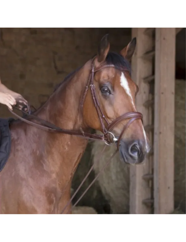 Rnes allemandes cuir/corde - noir - cheval Meilleur Choix