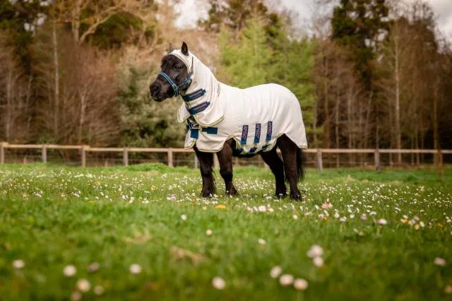 Couverture anti-insectes Amigo Petite Ripstop Hoody - Horseware - Protection UV - CRAIE/MARINE & ROSE - 3'0 / 60 CM Prix Cass