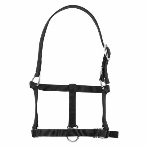 Quantit Limite Licol nylon poulain - Riding World - Rglable et confortable - Noir - foal