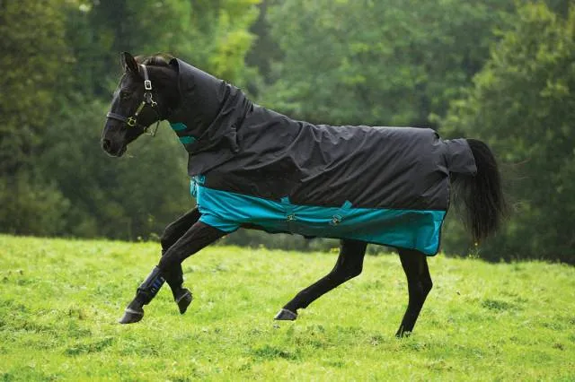 Couverture Mio 1 pice 200g - Horseware - impermable - NOIR/TURQUOISE - 5'9 / 125 CM Meilleure Vente