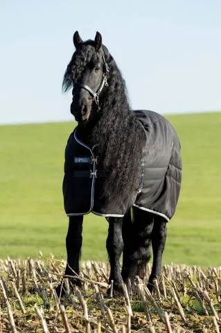 Couverture d'curie Rambo Stable 200g - Horseware - extrieur en 1000d ripstop - NOIR - 5'9 / 125 CM Prix Cass