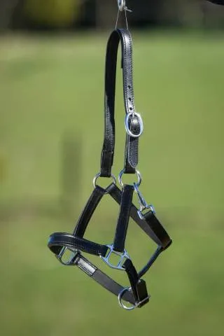Produit De Marque Licol cuir double poulain - HFI - cuir noir - NOIR - FOAL