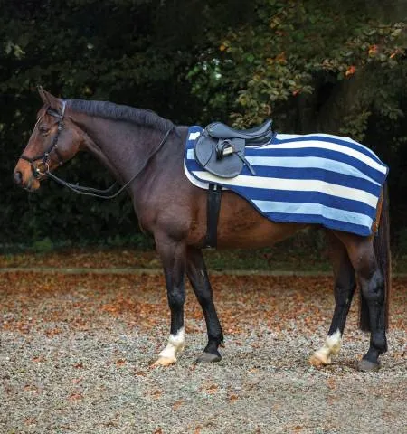 Couvre-rein Rambo Competition - HORSEWARE - Bleu marine - S Must-Have