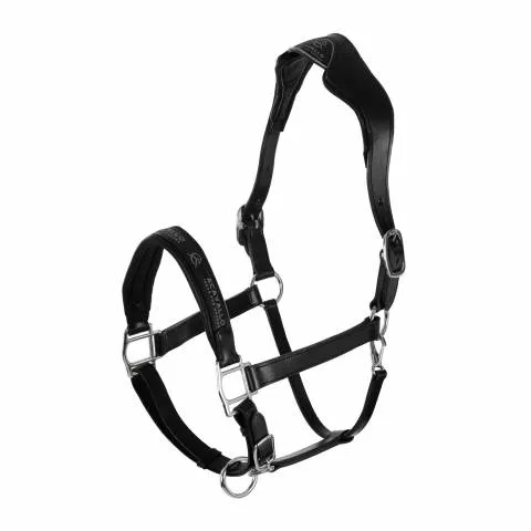 Licol ergonomique en cuir vachette - Acavallo - Confort optimal - Noir - COB (pur sang ) Offre Exclusive