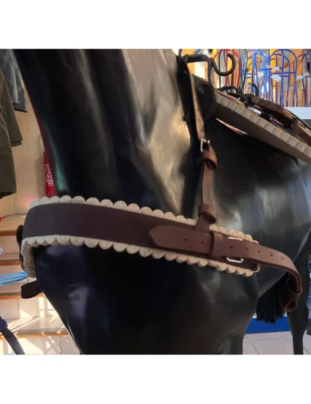 Bricole de bt Prix Cass