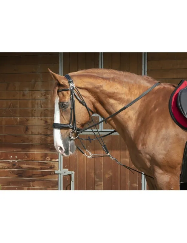 Gogue poulies NORTON PRO - noir - poney Vente Flash