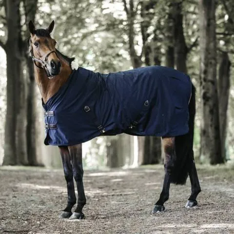Commander Vite Chemise coton - Kentucky - bleu marine - 125