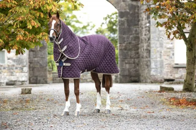 Must-Have Couverture de box Amigo stable plus moyen - Horseware - 200g - FIGUE - 5'9 / 125 CM