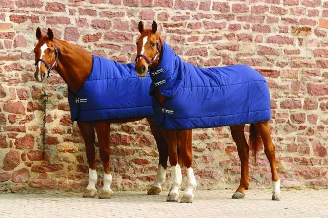 Commande En Gros Sous-couverture plus navy - Horseware - rembourrage 300g - MARINE - 5'6 / 115 CM