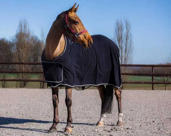 Achat Immdiat Chemise de prsentation polaire HFI - NOIR/ARGENTE - 5'9 / 125 CM