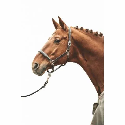 Meilleur Choix Licol en cuir Simple HKM - Marron fonc - COB (pur sang )