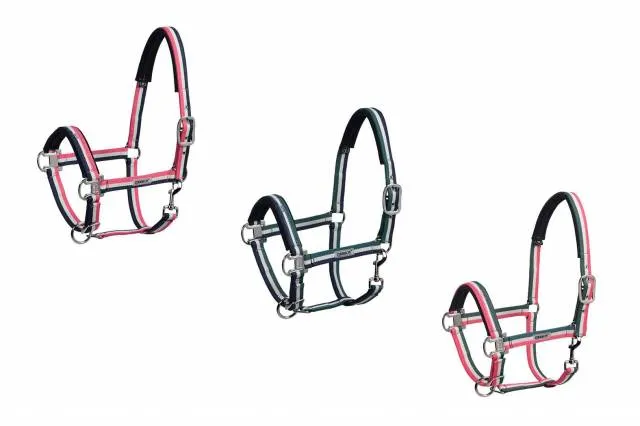 Authentique Licol tricolor Classic Sports 2019 - Eskadron - double poney