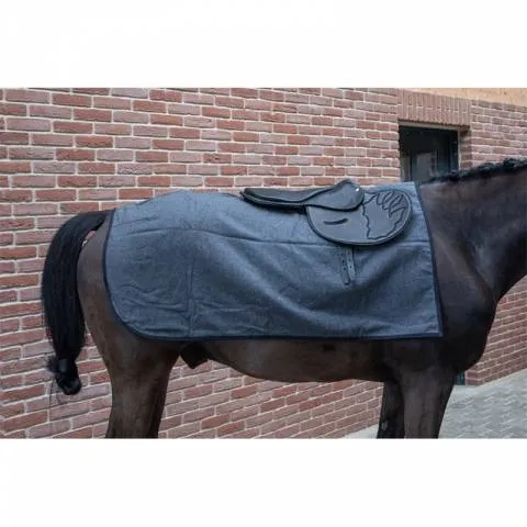 Couvre-reins de sortie - PETITPAS - Protection optimale - Noir - Cob / PS Expdi Aujourdhui