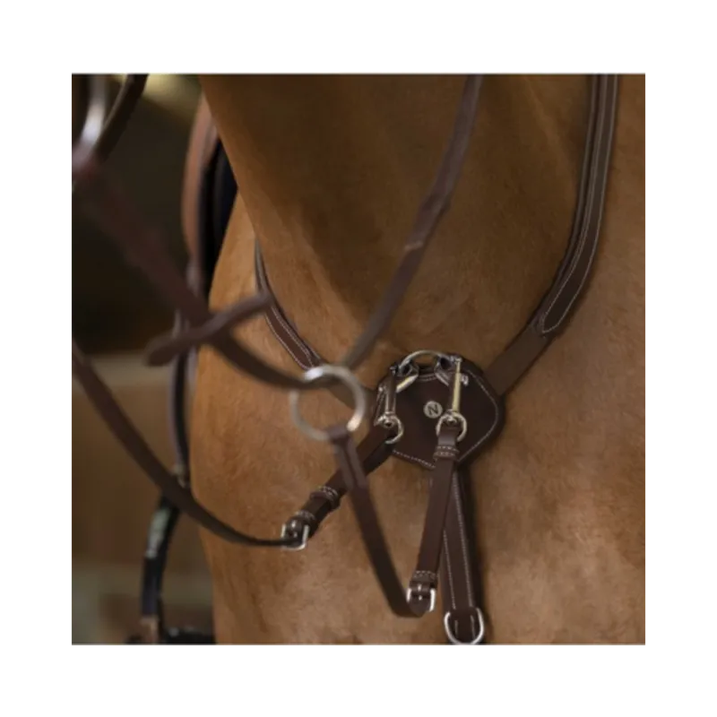 Meilleure Vente Collier de chasse Confort - NORTON PRO - havane - full