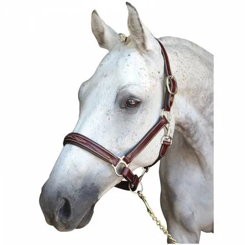 Licol en cuir Denver - Lexington - Cheval - Brun Authentique