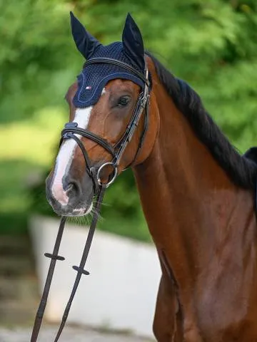 Bonnet anti-mouches Liberty – Tommy Hilfiger – Crochet lger – Bleu marine – Cheval Marque