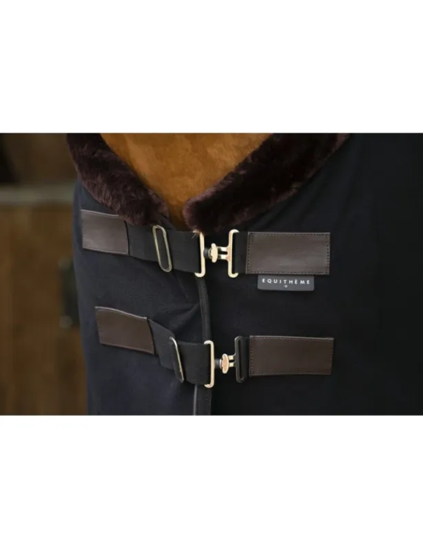 Couverture polaire Teddy - EQUITHEME - vert sapin - 6'6'' Prix Choc