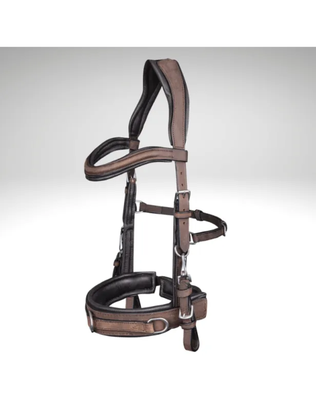 Caveon cuir anatomic - WALDHAUSEN - noir - full Populaire
