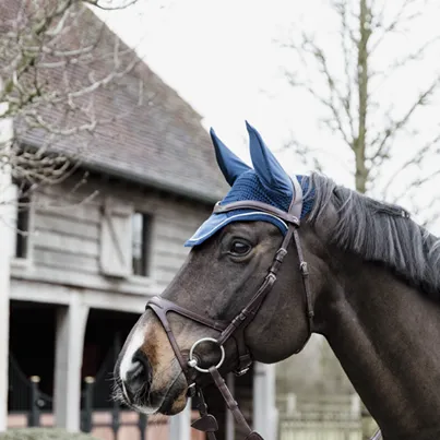Bonnet Wellington Basic Velvet Marine - Kentucky - Bleu Marine - Cheval Prix Rduit