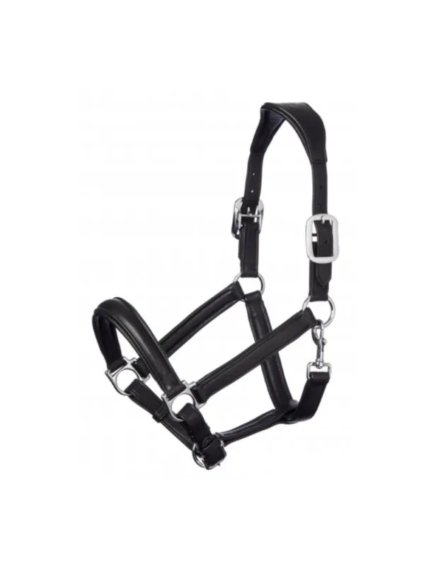 Acheter En Ligne Licol Anatomic - Lemieux - noir - full