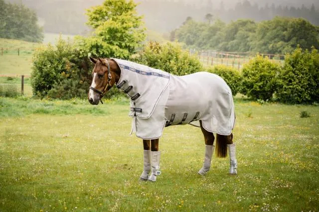 Chemise anti-mouches - Protector Rambo - Protection UV 65% - Tissu respirant - ARGENTE/MARINE - 5'6 / 115 CM Marque