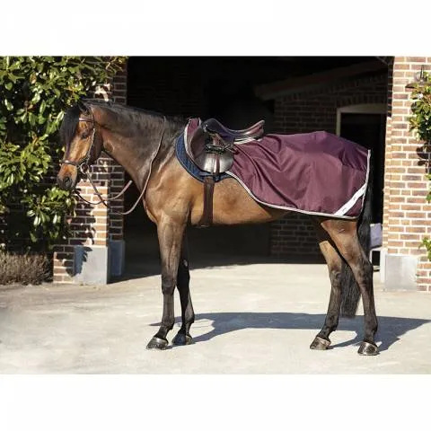 Couvre Reins Amigo impermable - Horseware - L - Marine Solde