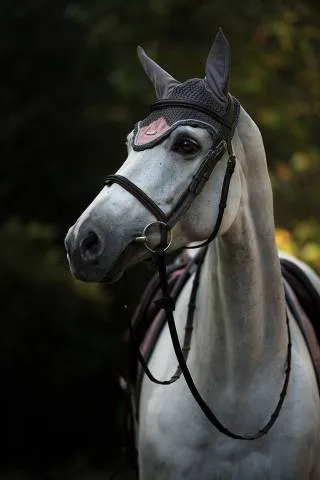 Commander Vite Bonnet anti-mouches DUSTY PINK - Equestrian Stockholm - Gris - Cheval