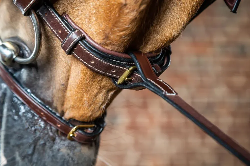 Fourche de martingale Fixe D Collection by Dy'on - Grand cheval - Brun Soldes