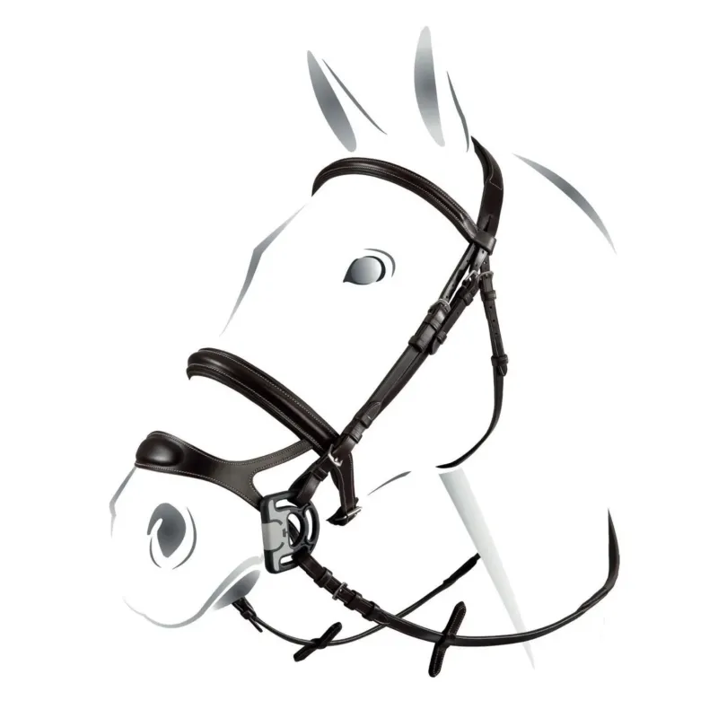 Meilleure Vente Bride combine Equestro - Cob - Noir