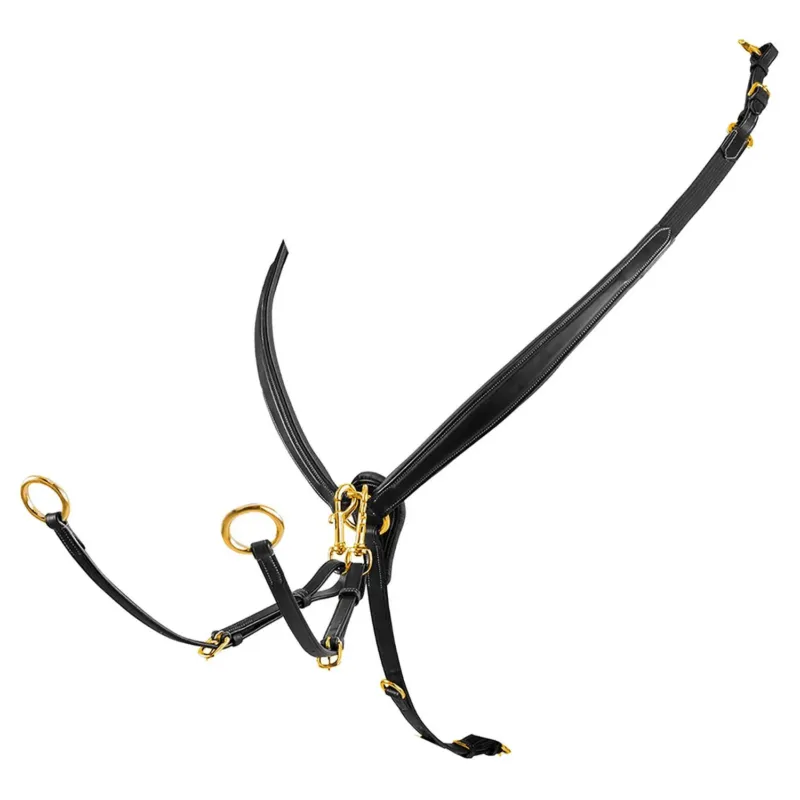 Acheter Direct Collier de chasse obstacle en cuir avec boucles en acier Equestro - Cob - Noir