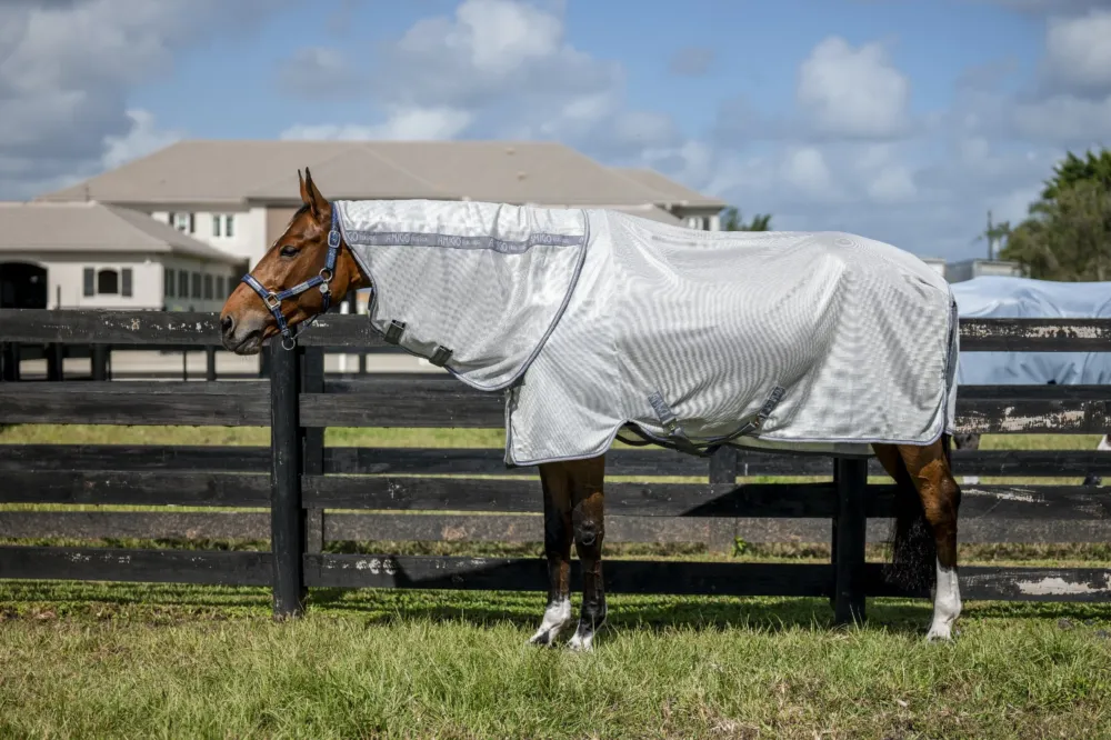 Chemise anti-mouches Horseware Amigo Bug Rug XL Plus - 130 cm - Argent / gris titanium / argent Vente Flash