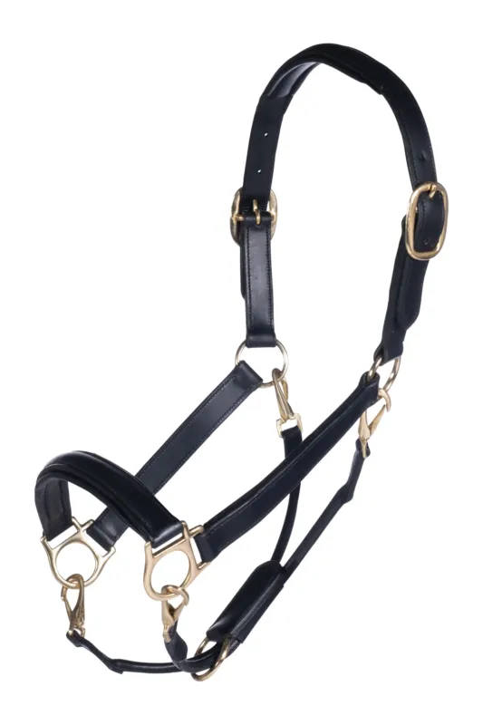 Licol en cuir Gold HKM - Poney - Noir Rduction