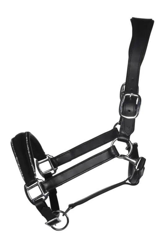 Petit Prix Licol en cuir HKM Glamour - Cob - Noir / argent