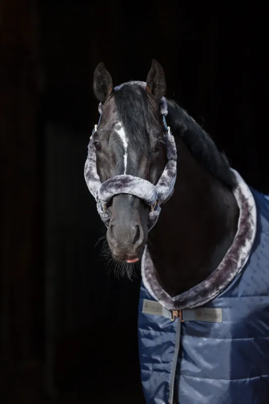 Solde Licol en fourrure Bucas Sow-Line - Grand cheval - Marine / gris