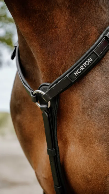 Acheter En Ligne Collier de chasse Endurance Norton Pop - Cheval - Noir