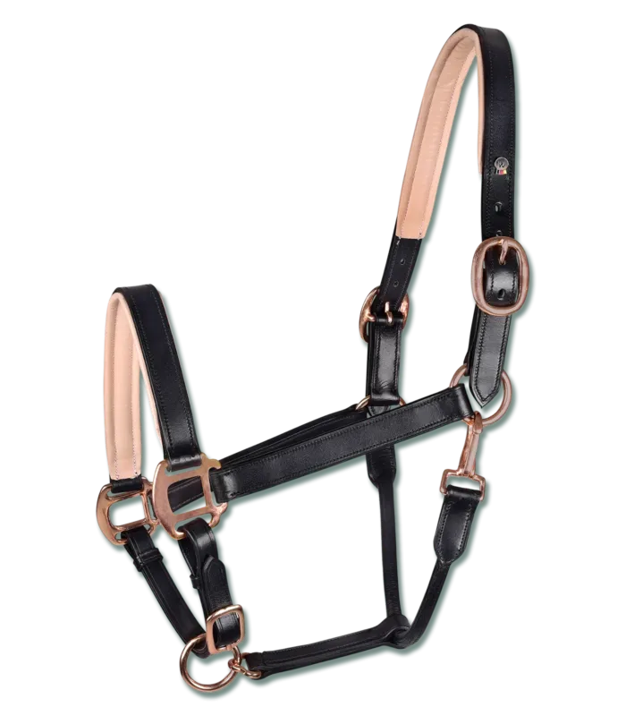 Licol cuir Ros Waldhausen X-Line - Cob - Noir Solde