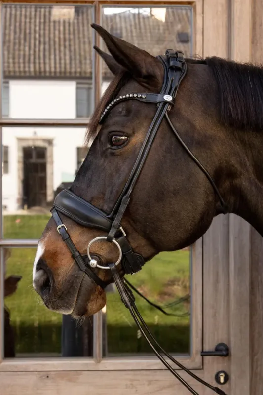 Marque Bridon Working by Dy'on ComfoHead - Cheval - Noir