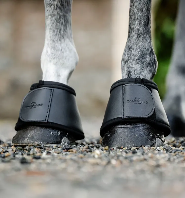 Expdi Aujourdhui Cloches Horseware - L - Noir