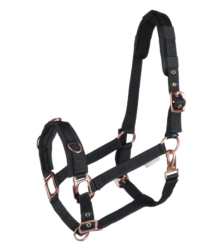 Licol pour longer Waldhausen Ros - Poney - Noir Affaire Saisir